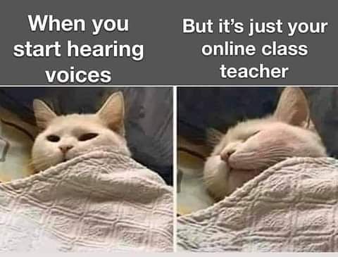 teachergoals's tweet photo. True story. https://t.co/336rg7HKqM