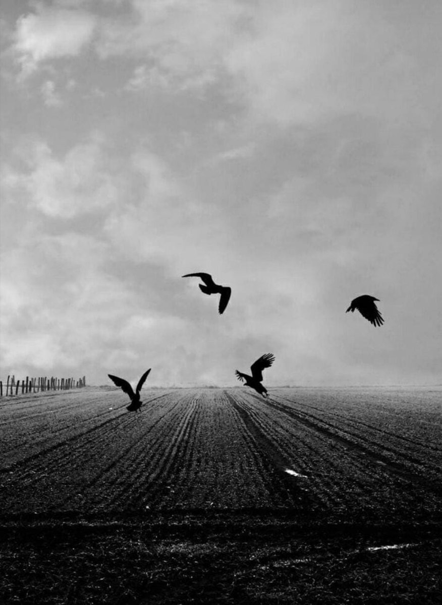 لو أني أعرف فقط
أين ينتهي هذا الفراق
لكنت أنتظرتك هناك
وبيدي باقة إشتياق
من نبض قلبي ولهفة عيني 
تحفها أسراب من الدعوات