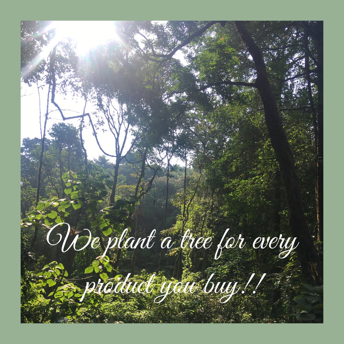 LabelMonk's tweet image. At Label Monk we believe in sustainability and only way to be sustainable is to be eco friendly. We extend this opportunity to our customers too by planting a tree with every purchase they make.