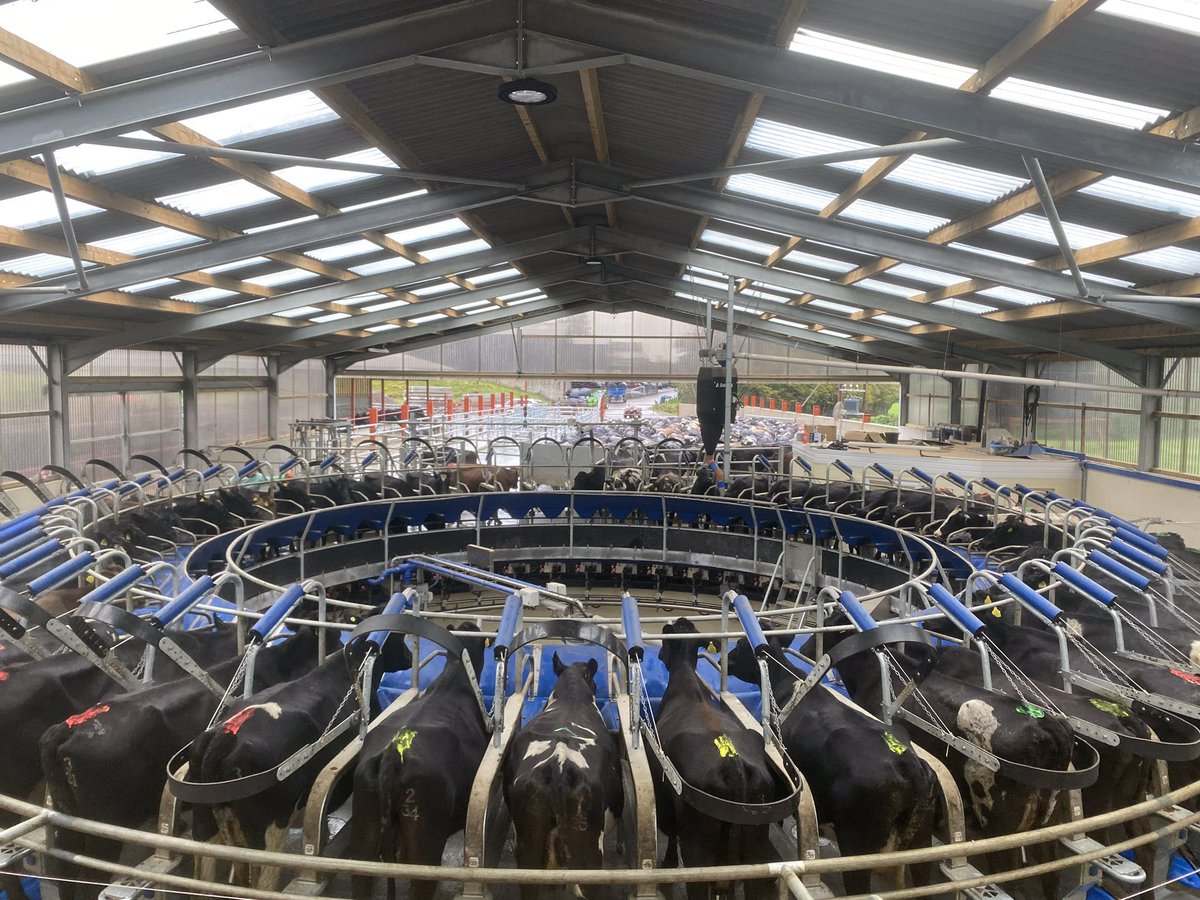 12months since the parlour arrived and 6months since Rich left us, coincidence? Cysga’n Dawel Dad🙌 Scanned all the cows yesterday, 1 R2 empty out of 96, and just under 11% empty in the milkers. Very happy with the R2s, room for improvement in milkers, we’ll beat it next year!🤞