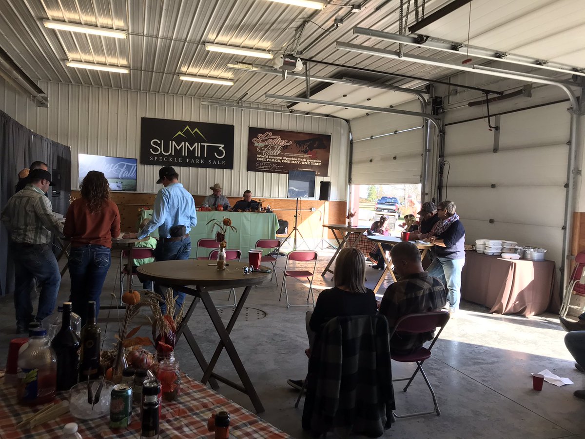 codiakacres's tweet image. Ladies of The Fall sale at @codiakacres today