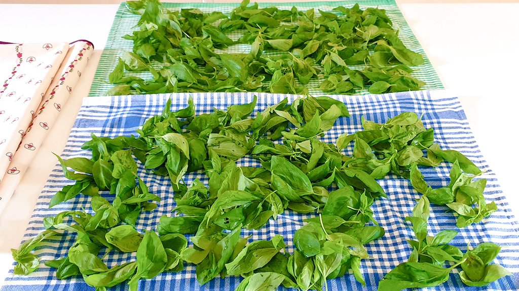 Wash 120g (2 cups) of basil leaves and clean them thoroughly but gently with a dish towel. While they dry put 80ml (1/3 cup) of olive oil in the fridge for 30 minutes: being this cold will keep the leaves bright green. (2/5)