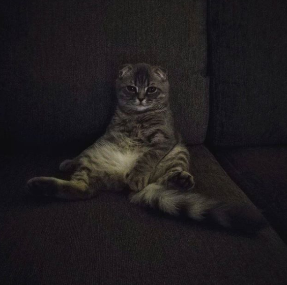Gothicpolar's tweet photo. Waiting with my boy for that @PlayTorchlight to launch.. ♥
@PerfectWorld #PerfectPets #giveaway #Torchlight3 https://t.co/gpuCcLPFv5