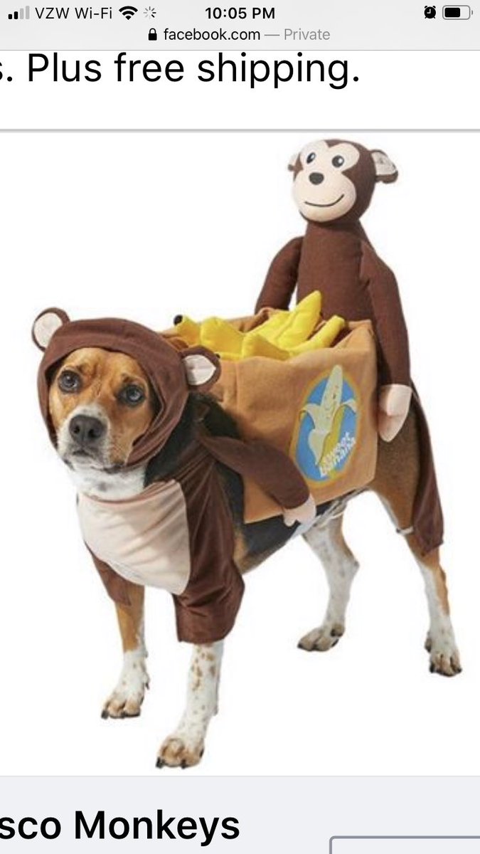 NicoleVolE's tweet photo. @Chewy real screen shot from https://t.co/GvaJ2IDtm0   No idea why this is a thing. no words  #dogcostume #costume https://t.co/u3rKqtpT5q