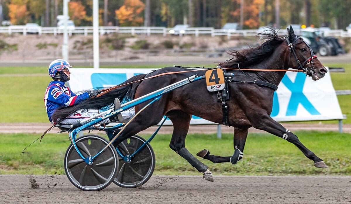 Takana on upea, ainutlaatuinen päivä. 😭 Kimppahevonen superhyvä viides äärimmäisen kovassa Kriterium-finaalissa. Ja tulevaisuus häikii. 🌞 Kiitos Irrin ranchille ja monsieur Koivuselle! #ravit