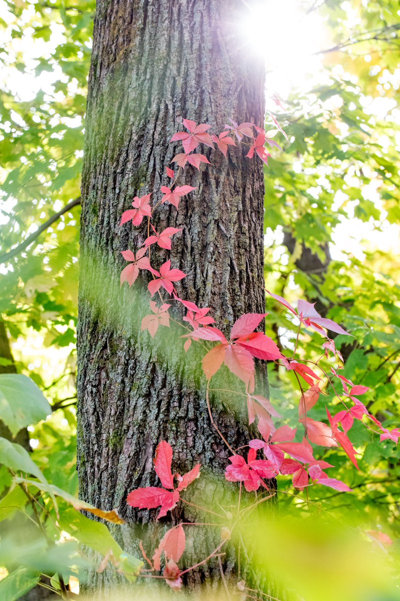 My Will vs. Gods Will (see @ sarakaussphoto on Instagram)