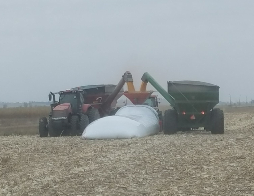 DammannFarms's tweet photo. Bagging from 2 grain carts on our farm during #harvest19 https://t.co/wDnKNBCRQ1
