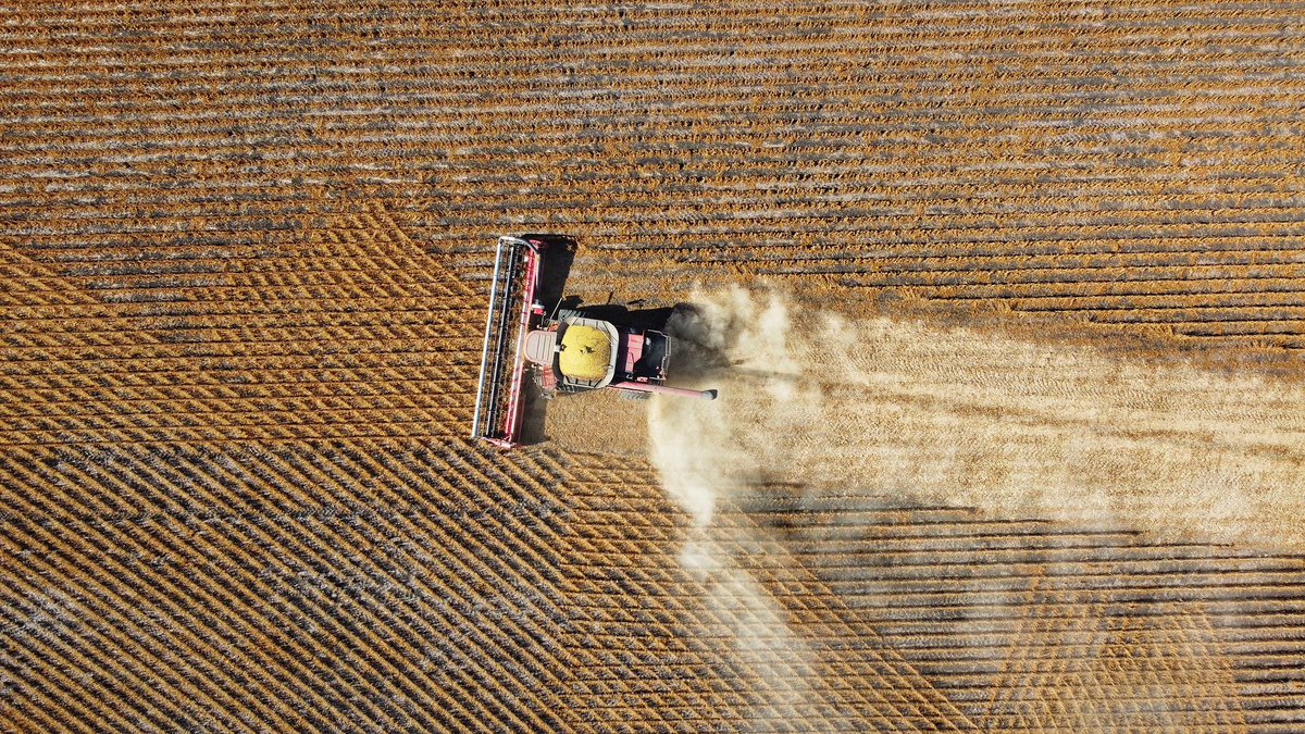 ajl_uav's tweet photo. Cool cool cool beans https://t.co/LswXU3kqGu