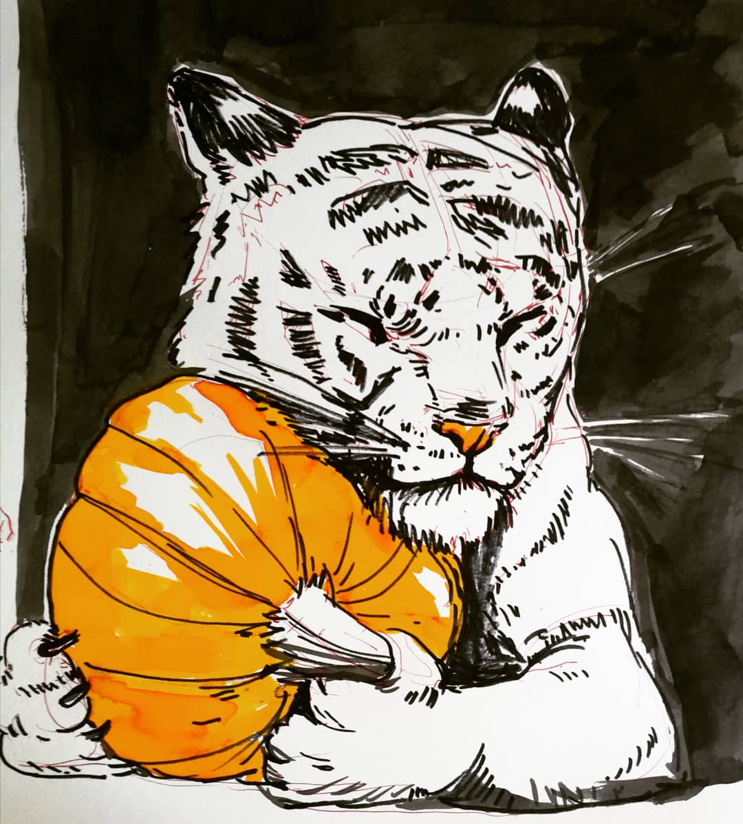creamcat10's tweet photo. Inktober Day 3
Prompt: Bulky
This big kitty loves pumpkins. And I do to!
My housecat is actually more interested in cucumbers. Do you have pets? Are they obsessed with certain foods? I would love to know!
#tiger #Halloween #pumpkin #inktober #inktober2020 #sketchbook #ink https://t.co/gZFffF8XjU