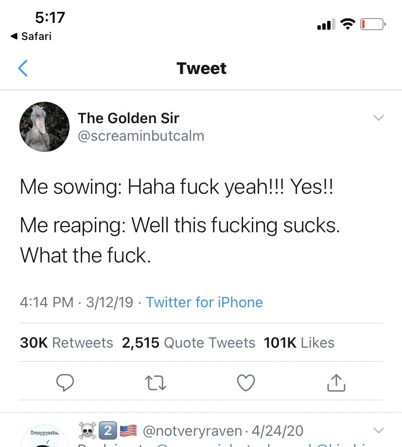 Ejb_nMVXYAYrk_f?format=jpg&name=medium