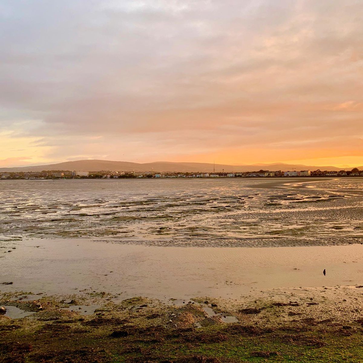 PEDeBauw's tweet photo. Good evening Dublin! #running in Sandymount Beach, almost at #sunset ☘️ #whyiloveireland... https://t.co/XN9dw7BW2V