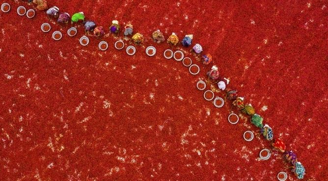 3CatInfo's tweet photo. Veure el món a vista d'ocell: les millors fotografies de l'any fetes amb dron 
https://t.co/JfASvXb8jG https://t.co/XtDmjFBRjQ