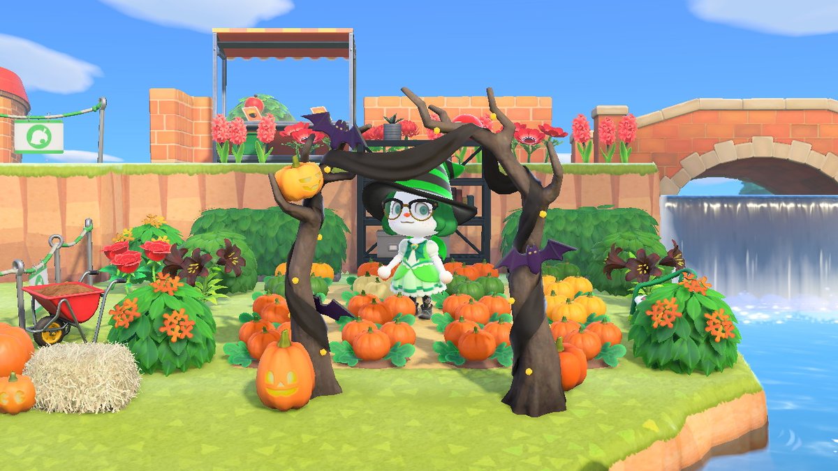 Berry_Bruises's tweet photo. #AnimalCrossing #ACNH #NintendoSwitch https://t.co/DUkuHSBjWC