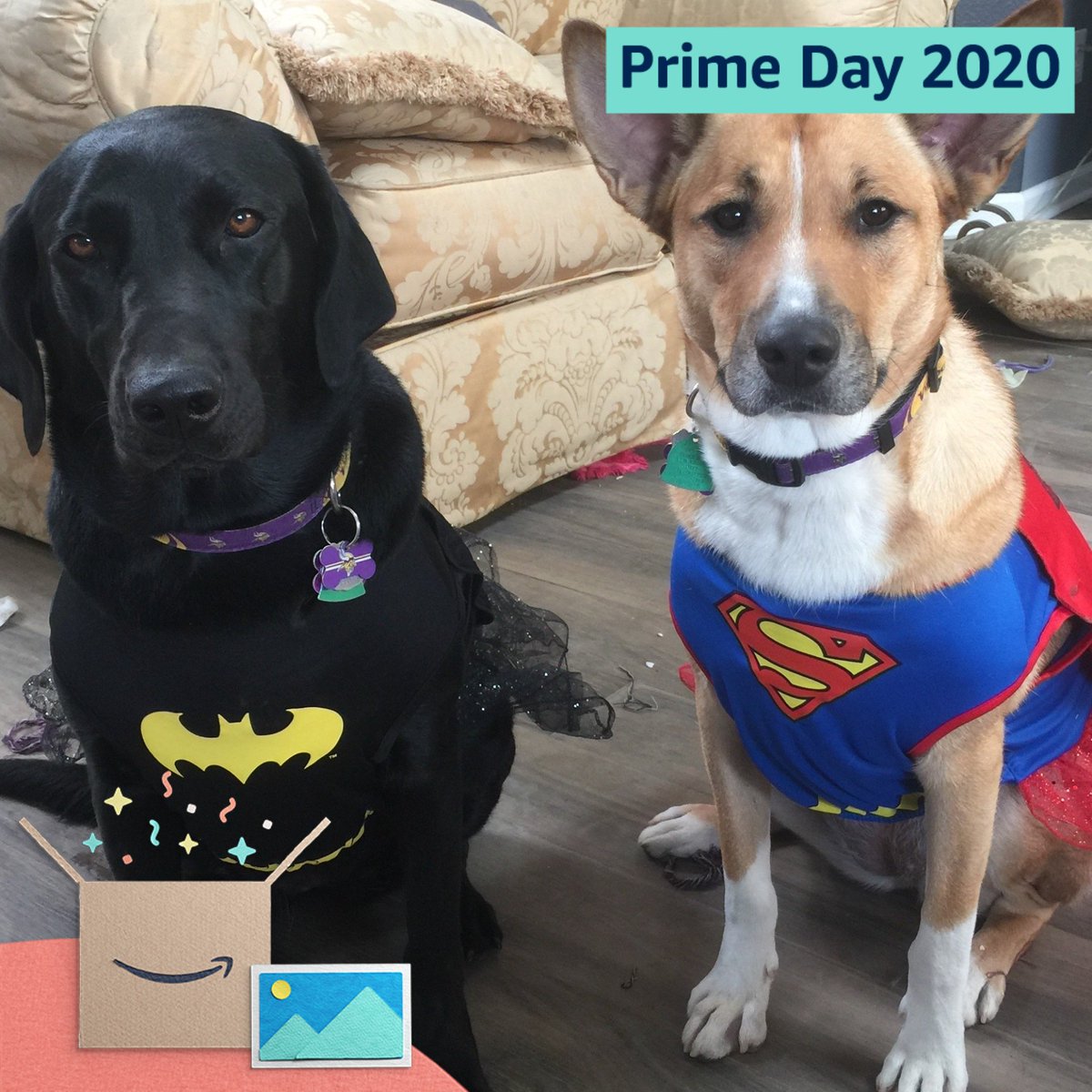 SQLProsOfNV's tweet image. #PrimeDayPhotos @amazonphotos