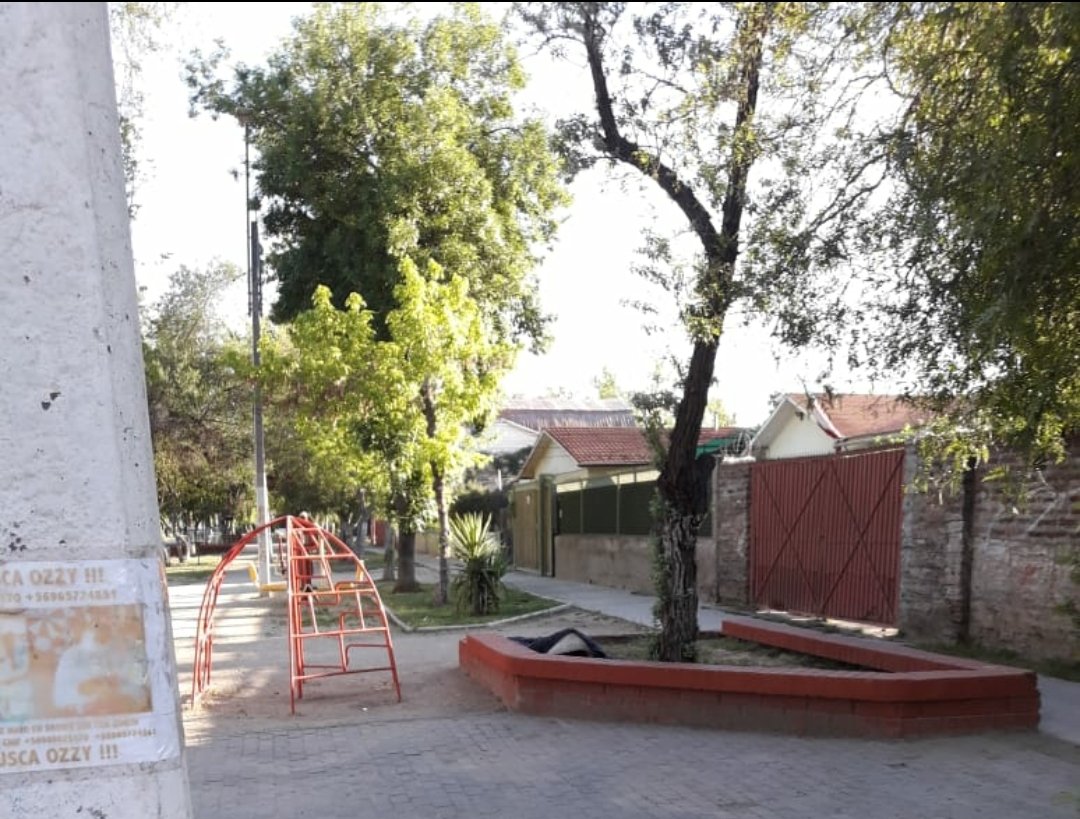 Marisameneses's tweet photo. Alcalde @GonzaloMontoyaR necesitamos ayuda 
plazoleta de Brown Sur con Los Cedros se ha convertido en dormitorio/ baño de persona en situación de calle,  en basural de vecinos y en un lugar de micro trafico. 
Nuestra vecina  tiene esta vista en su puerta todos los días @MuniMacul https://t.co/t99dwYNgih