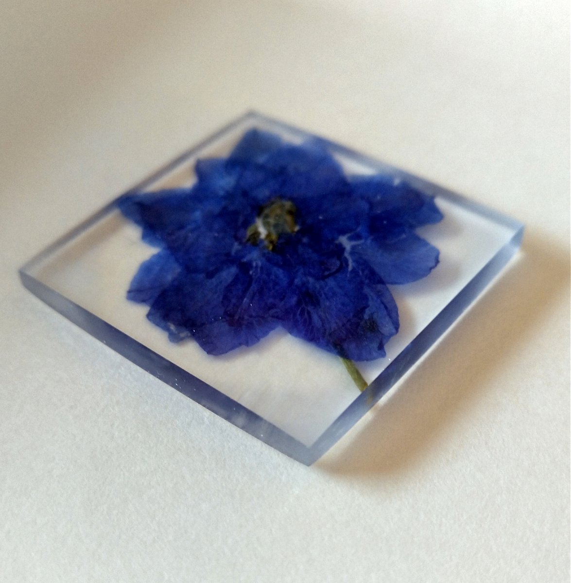 Yuji Kadomatsu デルフィニウム の レジン 封入 鮮やかな青で八重のデルフィニウムを 押し花にしていたことを思い出して作った ものすごく薄くできたけど 元の形が分かりにくいなぁ 当時はシリカゲル持ってなかったから 仕方がないけど あれ以来 お花屋