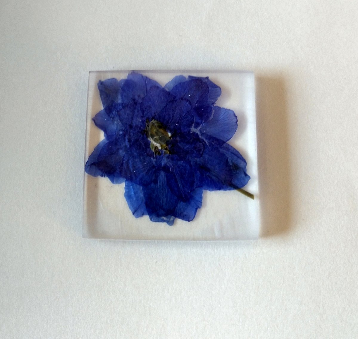 Yuji Kadomatsu デルフィニウム の レジン 封入 鮮やかな青で八重のデルフィニウムを 押し花にしていたことを思い出して作った ものすごく薄くできたけど 元の形が分かりにくいなぁ 当時はシリカゲル持ってなかったから 仕方がないけど あれ以来 お花屋