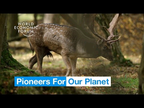 EatGoodful's tweet photo. Love this 💙🌿🌍🌊💚 Reintroducing wild animals &amp; native plants to land that can no longer be maintained w conventional farming. Seems like a pretty good idea 🧐💡🤔🔍🤓

#KneppRewilding #EatGoodful #BeGoodful
https://t.co/7RfIqeSahL https://t.co/IeAW2l5wsi