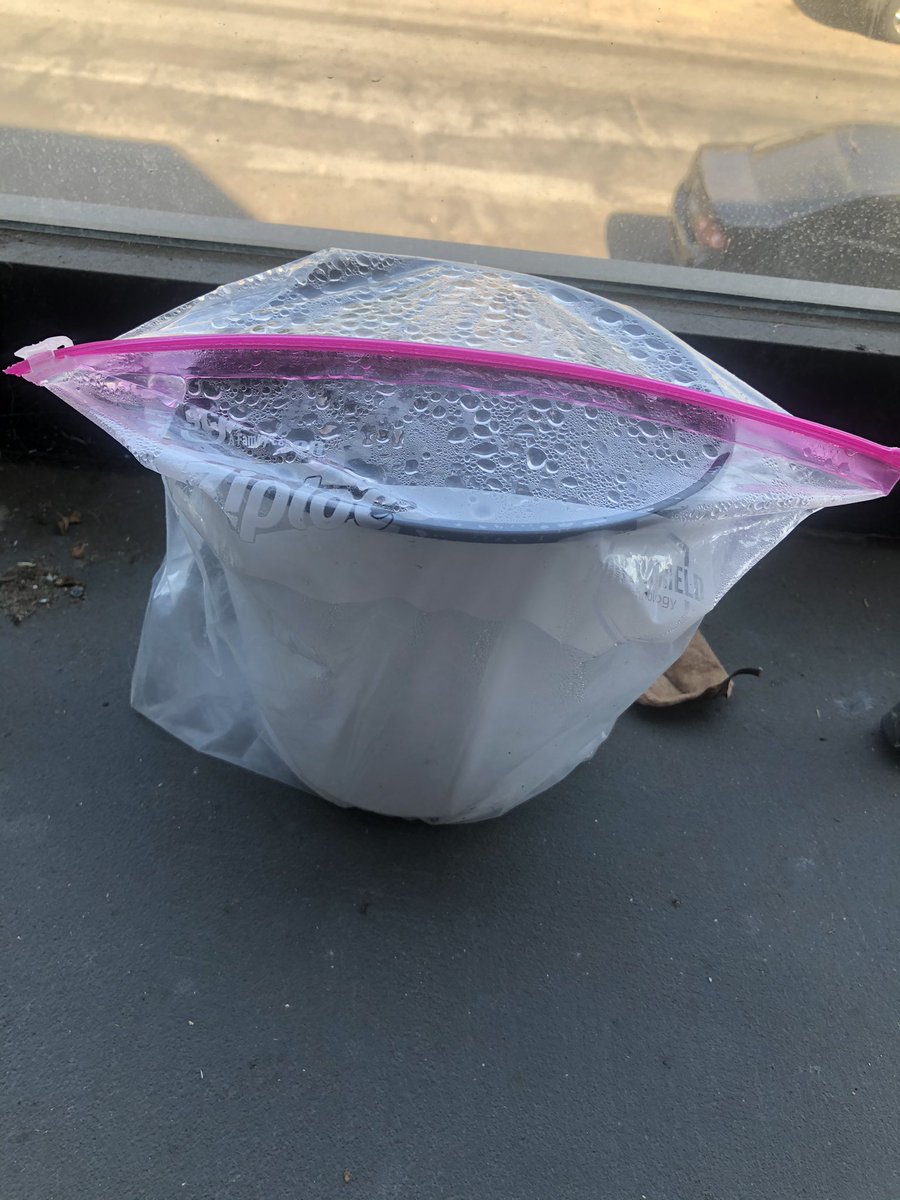 Next you put them in a pot with about a 60/40% blend of cactus soil and this super light foam-like substance called Perlite. Keep things airy and easy-draining. Put it in a ziploc bag, and place it out on a warm, partially sunny porch and wait.