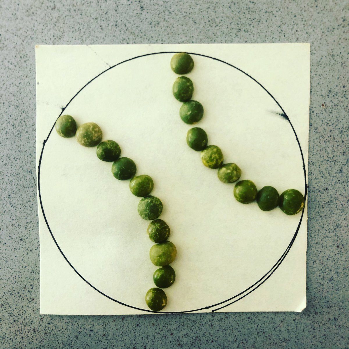 wesitbyfire's tweet image. Creative Sprint • Day 3 
Combine two things that don't normally go together. #postit #splitpeas #baseball #creativesprint #creativityisapractice #mvhsstudio903