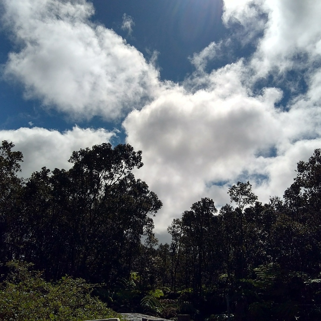 RT @7th_Order: 7th Order wishes you a terrific #weekend from the Big Island of Hawaii!
#bigisland #bigislandofhawaii #hawaiipictures #hawaii #DanielJones #7thorder #picoftheday  #hawaiimusic #indie #rockandroll #nature #photography #clouds  #sky #sun #vo…