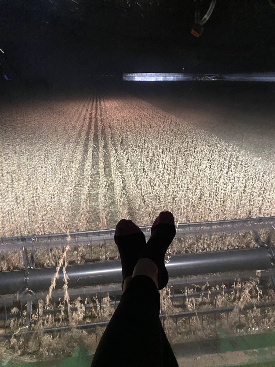 jillerickson97's tweet photo. First night of many riding shot gun with @Dan_Libbrecht #harvest2020 #howmanybushell 👫🏼 https://t.co/w2LSn2C2YZ