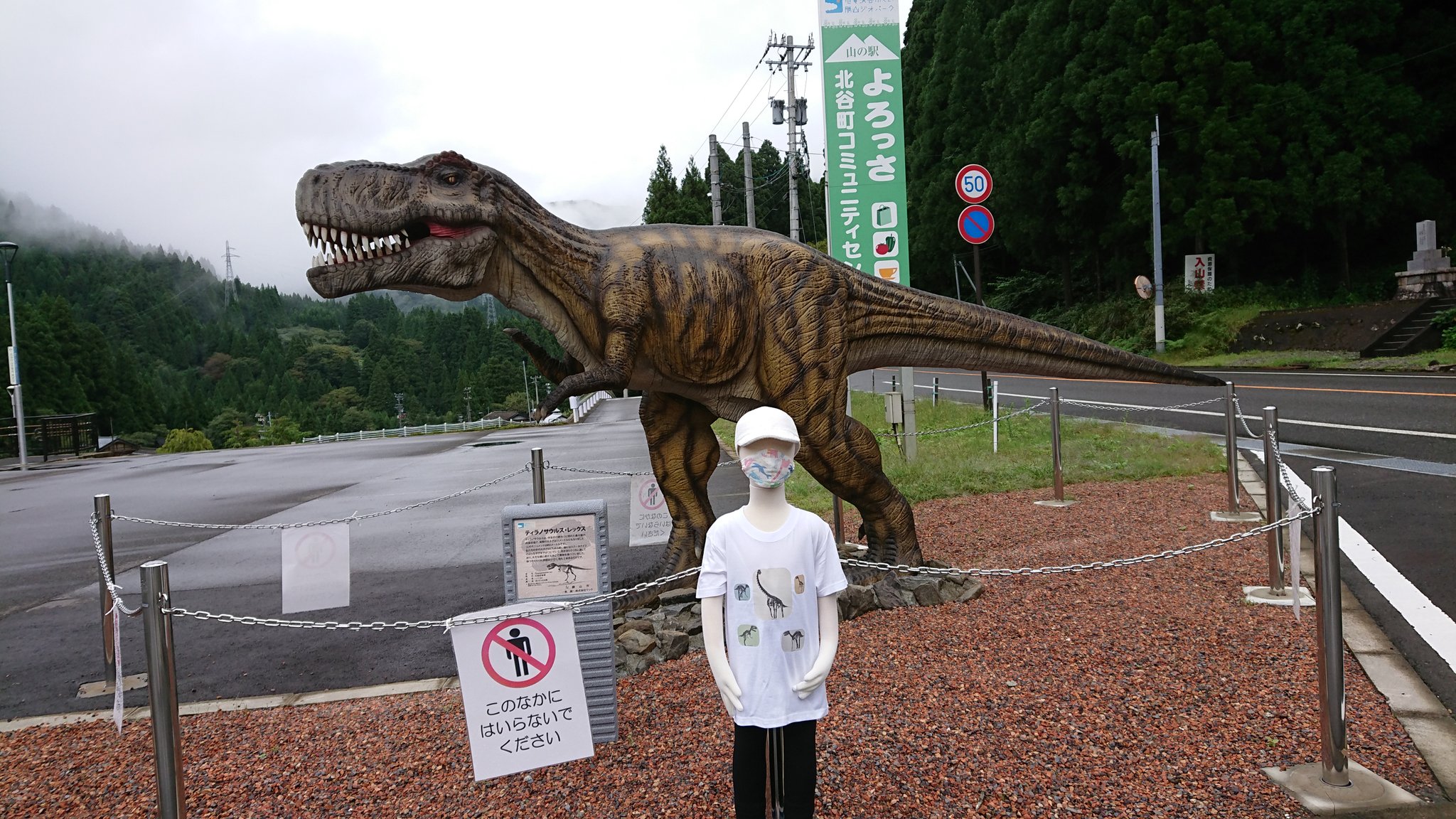 ちゃまりゅう 可愛いオリジナル恐竜キャラクターグッズ かっちゃまから石川県に向う道中の山の駅 よろっさ にも恐竜がいた 山道で 紅葉の時期は良いドライブコースだよ 子供用マスク販売中 可愛い恐竜 可愛い恐竜イラスト 恐竜柄 恐竜プリントt ちゃまりゅう 可愛いオリジナル恐竜キャラクターグッズ かっちゃまから石川県に向う道中の山の駅 よろっさ にも恐竜がいた 山道で 紅葉の時期は良いドライブコースだよ 子供用マスク販売中 可愛い恐竜 可愛い恐竜イラスト 恐竜柄 恐竜プリントt