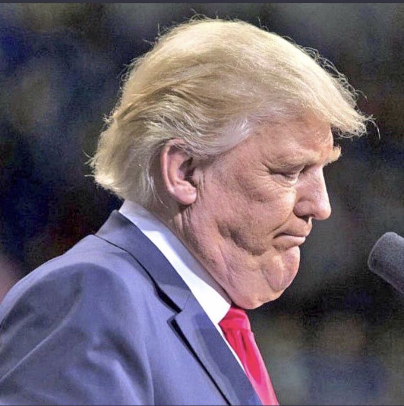 66Alpine's tweet image. 