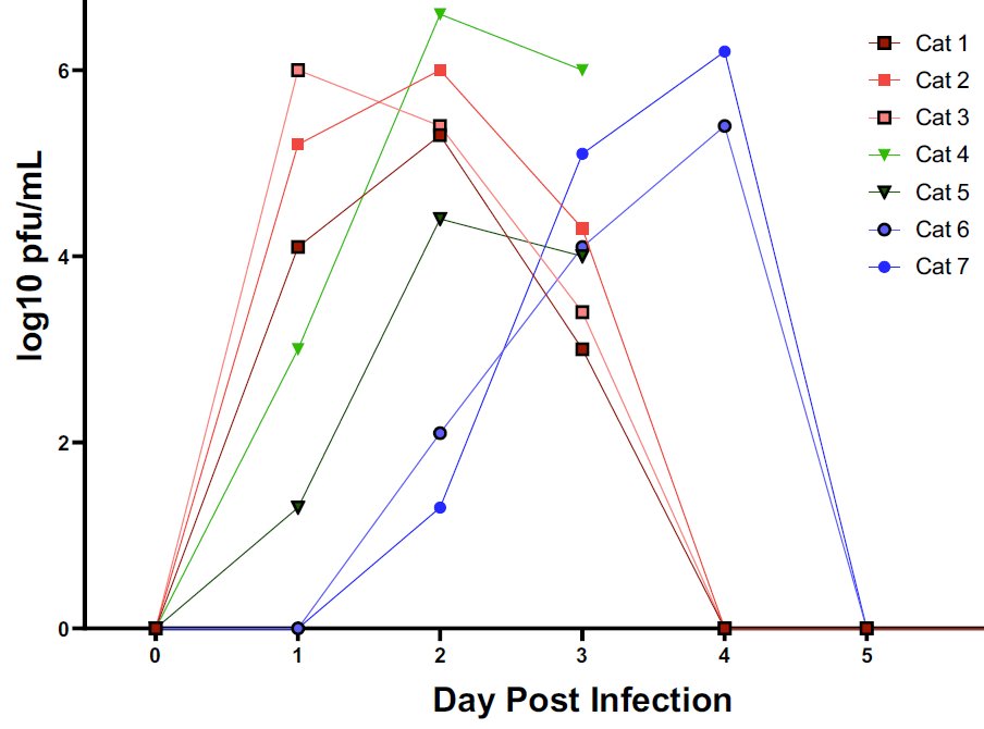 It's present on days 0&1 for 2 cats infected by contact (6&7)  http://www.pnas.org/cgi/doi/10.1073/pnas.2013102117