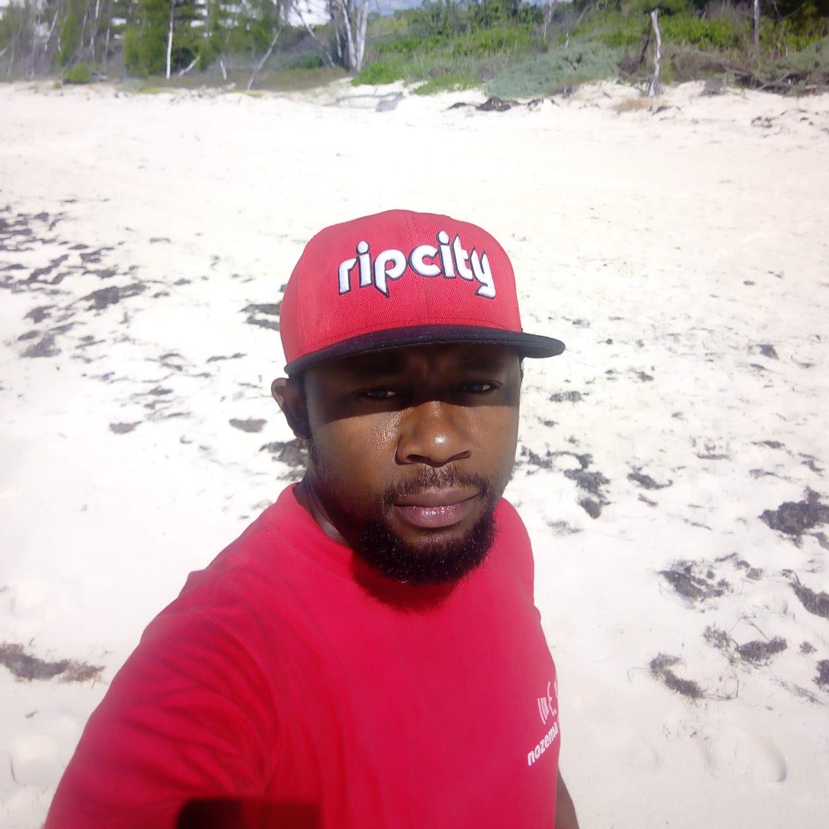 Richdottcom's tweet photo. #NewProfilePic https://t.co/62UZpBke4k