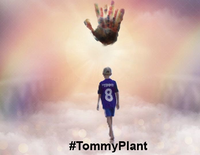 AccessiBlues's tweet photo. Can we flood Twitter in memory of #TommyPlant #8thMinute @BCFC #StoVBirm 💙We can’t be present at the game but we can make our presence known @JasonPlant16 @plant_alison @Karanka @tiltontalkshow @BordesleyLabour @AccessiBlues https://t.co/JxDafxFpy0