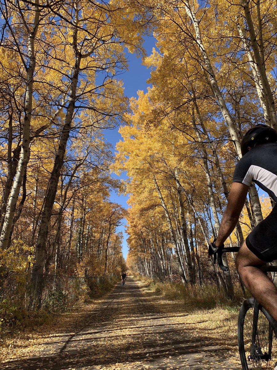 If you are still waking up at 2 am to go hike Larch Valley, I strongly recommend sleeping in and walking/biking the loop around Glenmore Reservoir at 1pm 🍂 #Fall2020