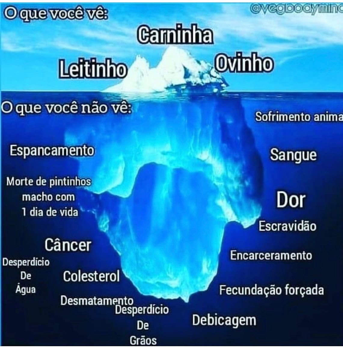 srneto's tweet photo. https://t.co/BrGQuBrWF3