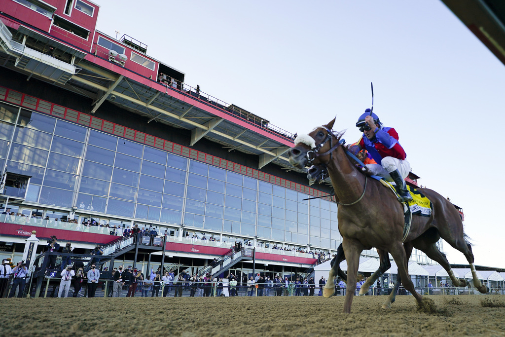 Swiss Skydiver covered Pimlico Race Course in 1:53.28. 

The only horse to run a faster Preakness Stakes was 1973 Triple Crown-winner Secretariat (1:53.0).