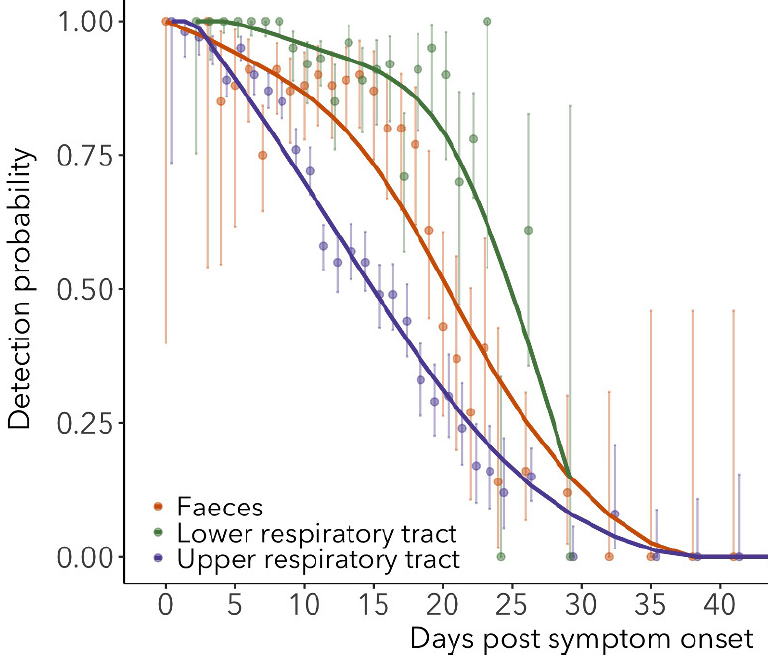 Also, prob of detecting RNA on early days post-infection very different between 2 papers (that's a subject for a whole different thread). @bennyborremans  @jlloydsmith  @JustinLessler