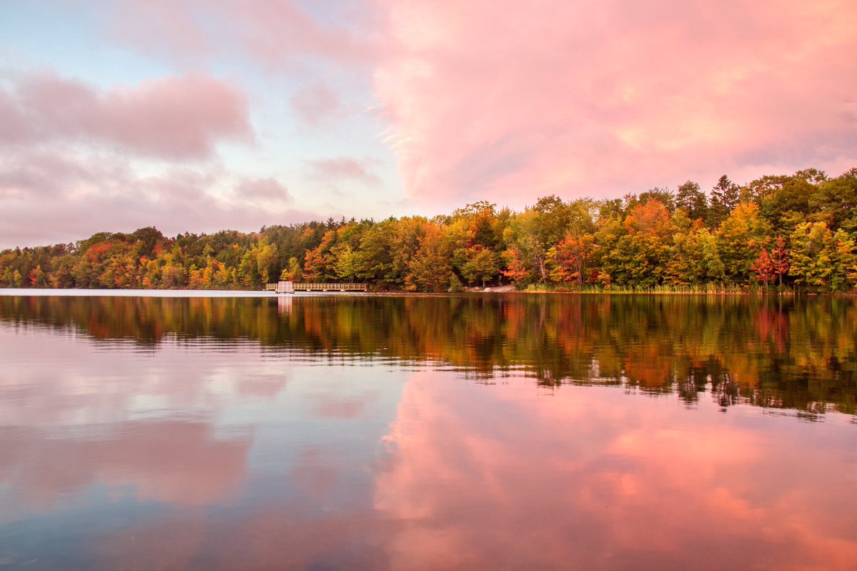 Earle Hickey tweet media