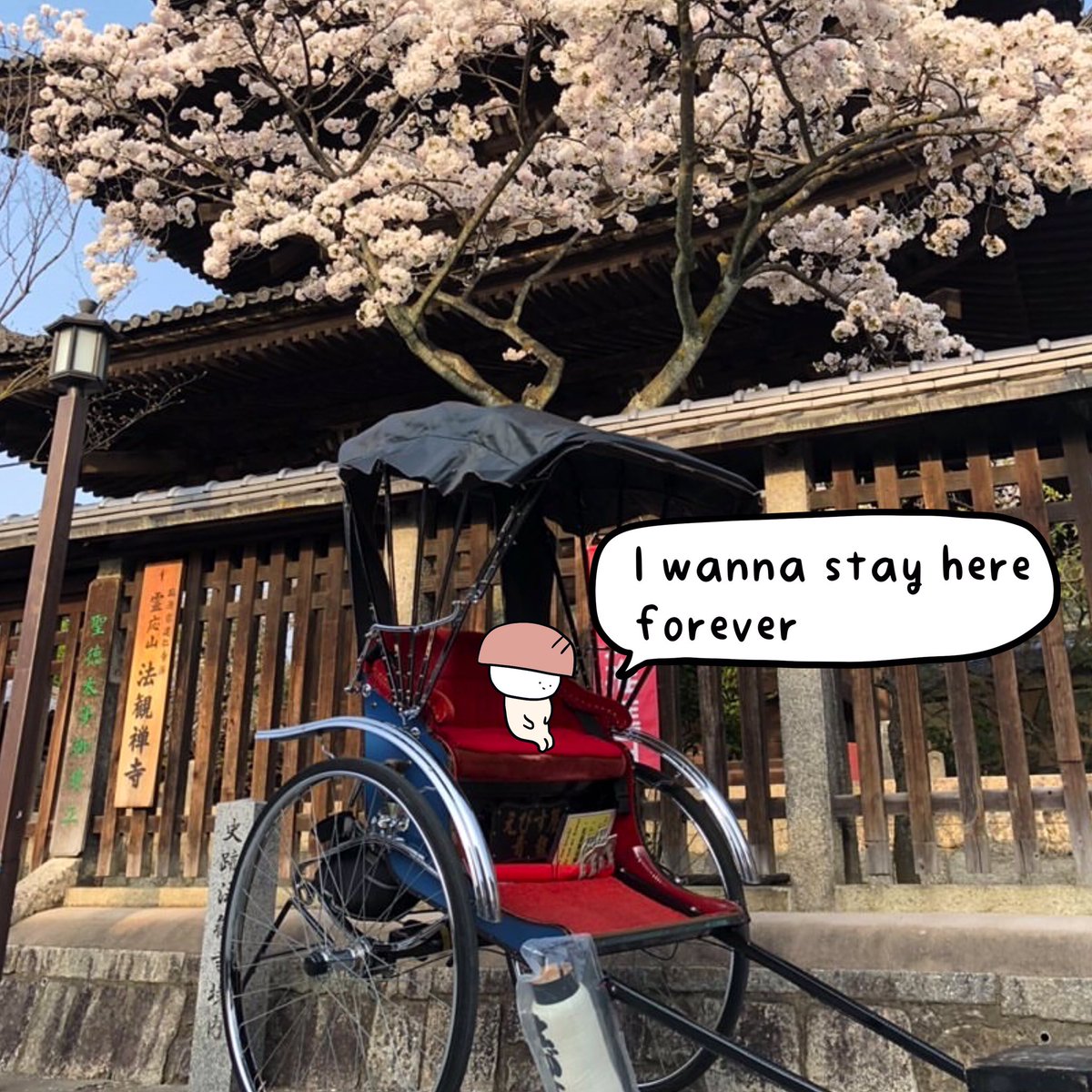 Learn Japanese With Tanaka San Have You Ever Been To Japan And Thought It Would Be Nice If You Could Speak Japanese Let S Go To Japan Virtually And Learn Phrases