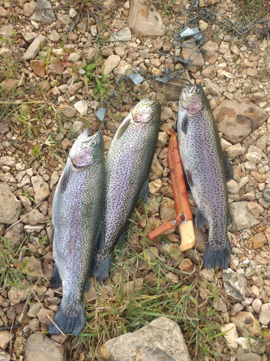 Another good morning on the river. Trying to find some fm passes for Em46.