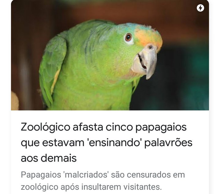 luccaoneal's tweet image. KKKKKKKKKKK eu amo esses bichos