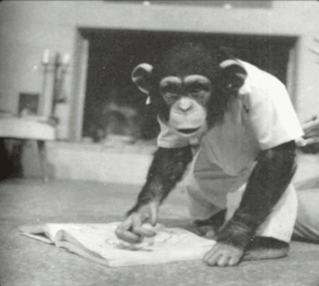 7. Lucy the Chimp 100/10- raised to believe she was human- could sign- ate using silverware- created human head models out of her poop- reared a cat- drunk gin, read playgirl & masturbated using a hoover - when introduced to male chimps was scared & disgusted (queen)