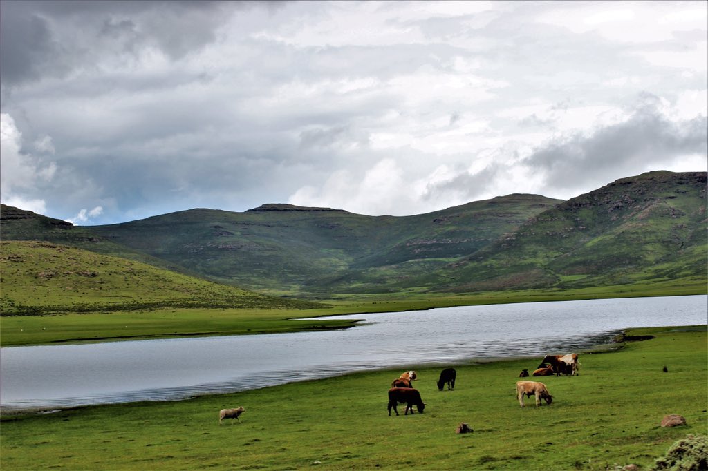 lgchefa's tweet photo. This is Letseng-la-Letsie. A Ramsar site in Quthing, #Lesotho
Site number: 1388
Area: 434 ha
Designation date: 01-07-2004 Coordinates: 30°19'S 28°12'E                 @RamsarConv https://t.co/Bs2y5sn4fO