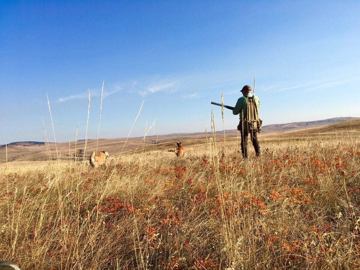 A morning bird hunt under a bright Alberta sun and blue skies helps put the work week back into perspective! #getoutside #selfcare