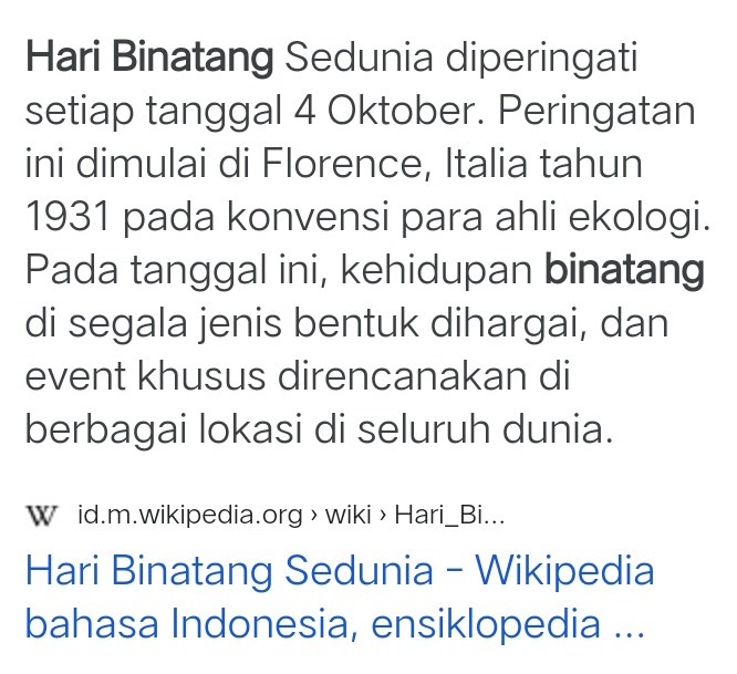 wooyoo tweet media