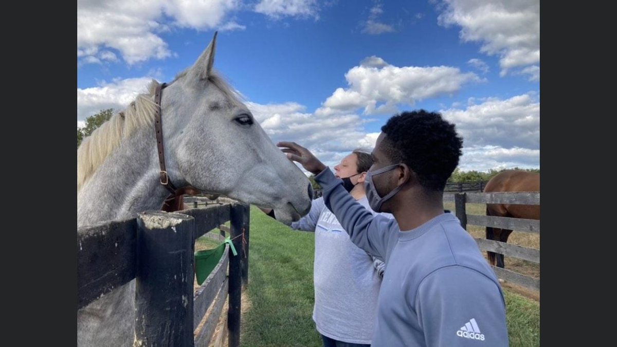 UKAgEquine's tweet photo. That’s a wrap on our last day of #UKEquineWeekofService,  an incredible week w/ 555 hours of service, 241 volunteer shifts, 7 great orgs &amp; endless memories. Thank you to our Wildcat Wrangler student leadership team, volunteers &amp; great organizations we served! #UKEquine #AgEquine https://t.co/3EcAnAGRJS