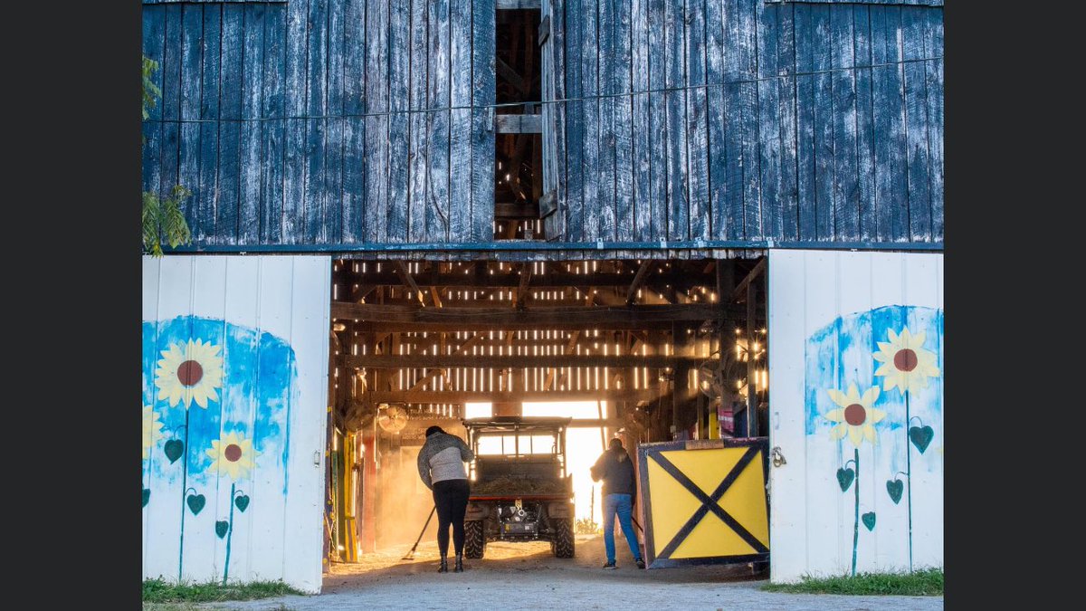 UKAgEquine's tweet photo. That’s a wrap on our last day of #UKEquineWeekofService,  an incredible week w/ 555 hours of service, 241 volunteer shifts, 7 great orgs &amp; endless memories. Thank you to our Wildcat Wrangler student leadership team, volunteers &amp; great organizations we served! #UKEquine #AgEquine https://t.co/3EcAnAGRJS