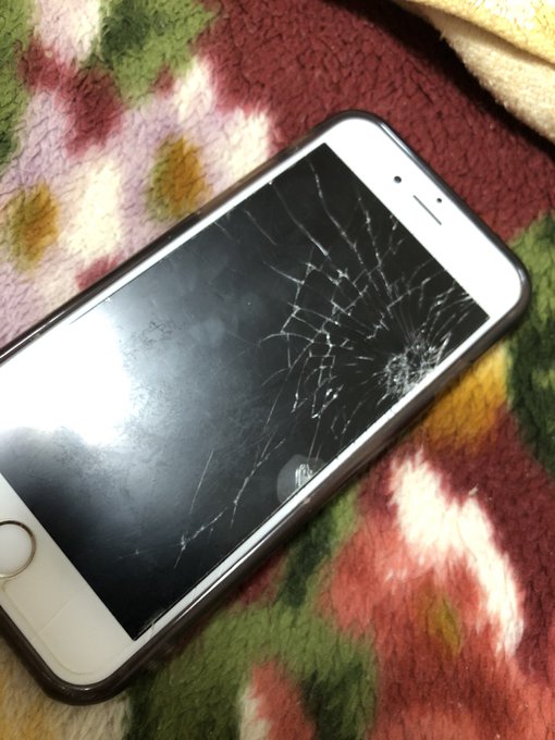 ディーナのtwitterイラスト検索結果 古い順