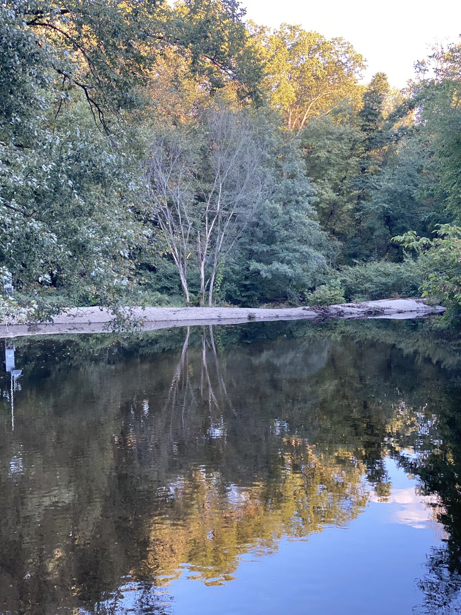 iamritu's tweet photo. @hvanspall @HeartOTXHeartMD @Sarah_Moharem @Kfarooqi @ErinMichos @rajdoc2005 @ShrillaB @VietHeartPA @DocCards @bes502 @thaiscoutinhoCV @saia_francesco @Hragy @DocSavageTJU @AndreasGevaert @AndrewJSauer @BoggildLab @cardioPCImom @paomorejon @minhaskh @CastlDalmunzie You & your photos are gorgeous! Hereโs a photo from my walk/jog today #45MinExerciseChallenge https://t.co/B6jnx4DMAl