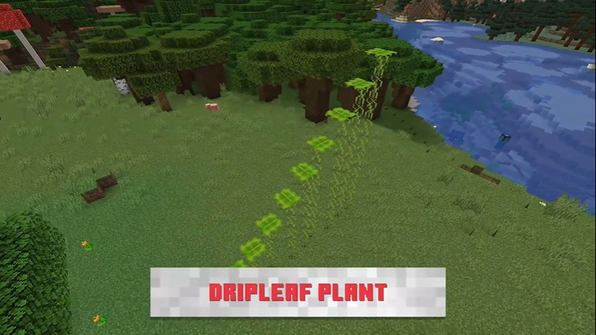 砂利馬 Dripleaf Plant ドリップリーフプラント の追加 竹のように高く成長し 頭の部分には常に葉っぱが付いています プレイヤーはこの葉っぱに乗れますが しばらく乗ったままでいると葉っぱが傾いていき 最終的には落ちてしまいます 誰も