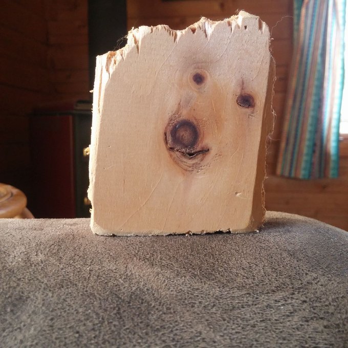 Eu alguien sabe que le pasa a mi perro? Ya no hace guau, hace rrín
