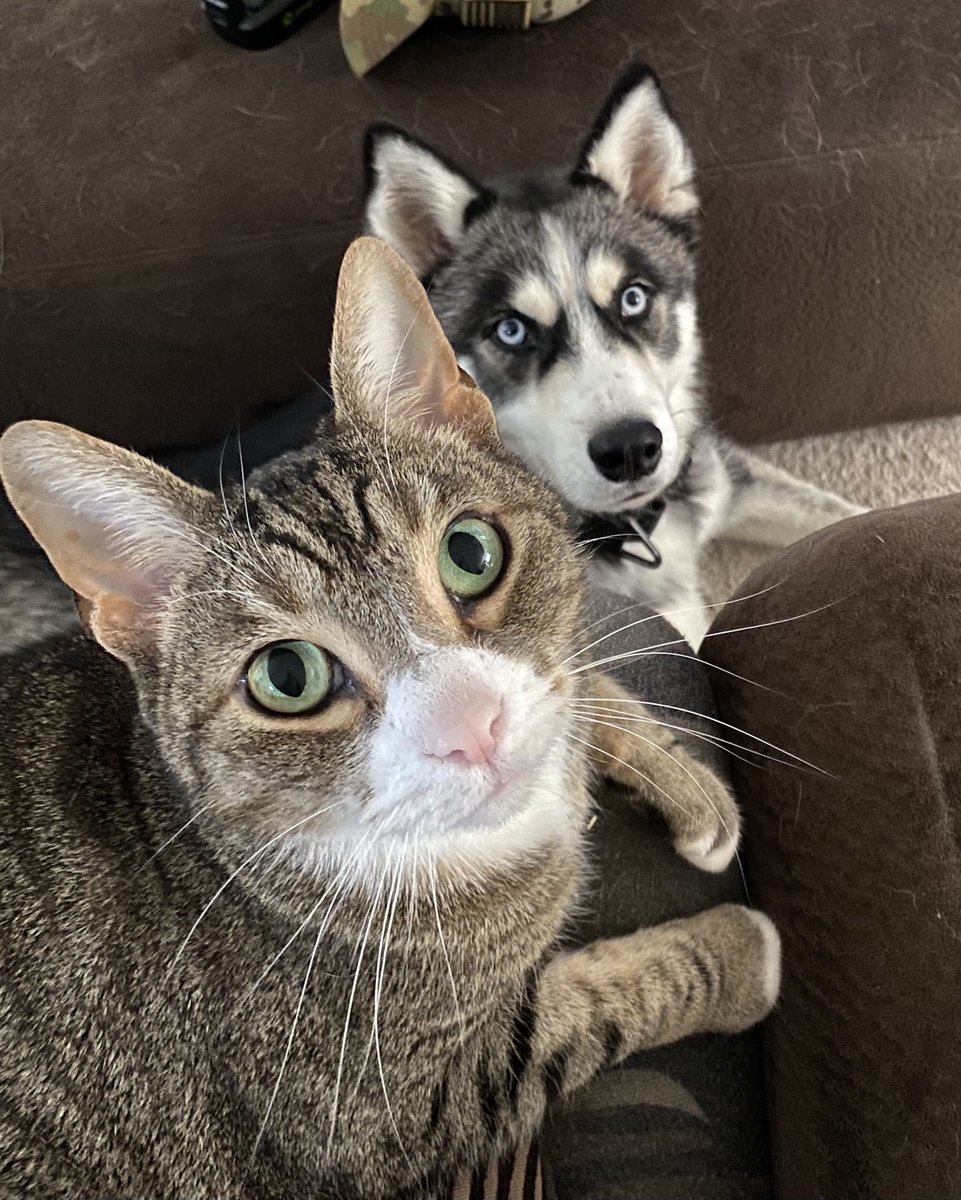 Rizzo &amp; Colt #brothers #bishopfurkids